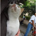 Un pote qui a faim