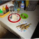 Mon repas vers 11h30