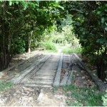Un pont encore à traverser