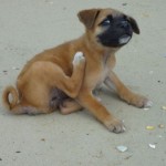 Tu me cherches ou quoi ???