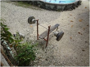 Je vais vous revenir genre Van damne