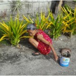 Jardinage