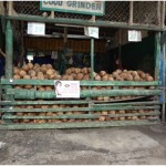 Noix de coco